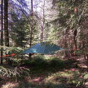 baumzelt-im-wald.com-bavaria.com/